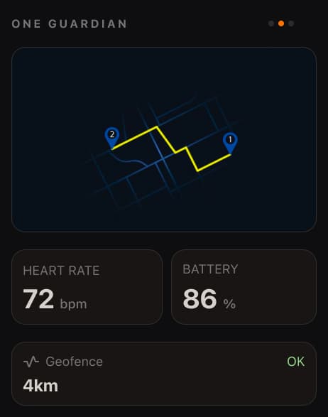 ONE Guardian dashboard preview